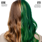 Emerald Envy Color Depositing Treatment Mask