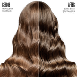 Golden Brown Healthy Color Duo