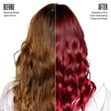 Vibrant Start Duo