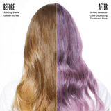 Vibrant Start Duo