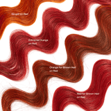 For Red Hair Color Sampler Pack