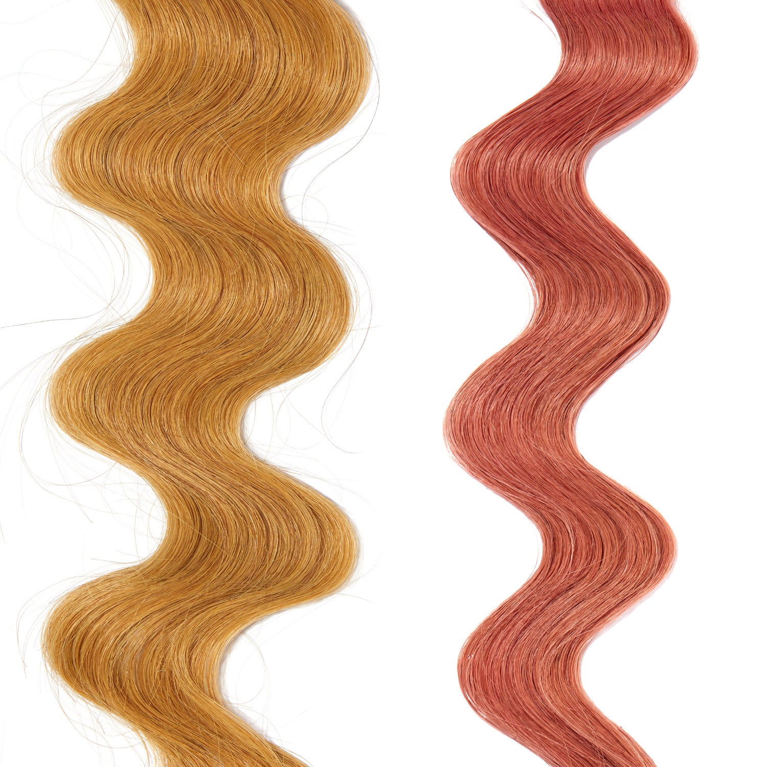 1 dry rose printed hair loop